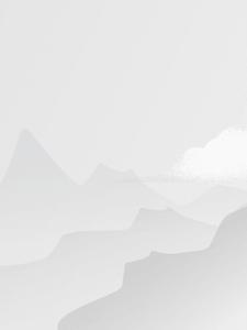  草莓不是这的第1本书